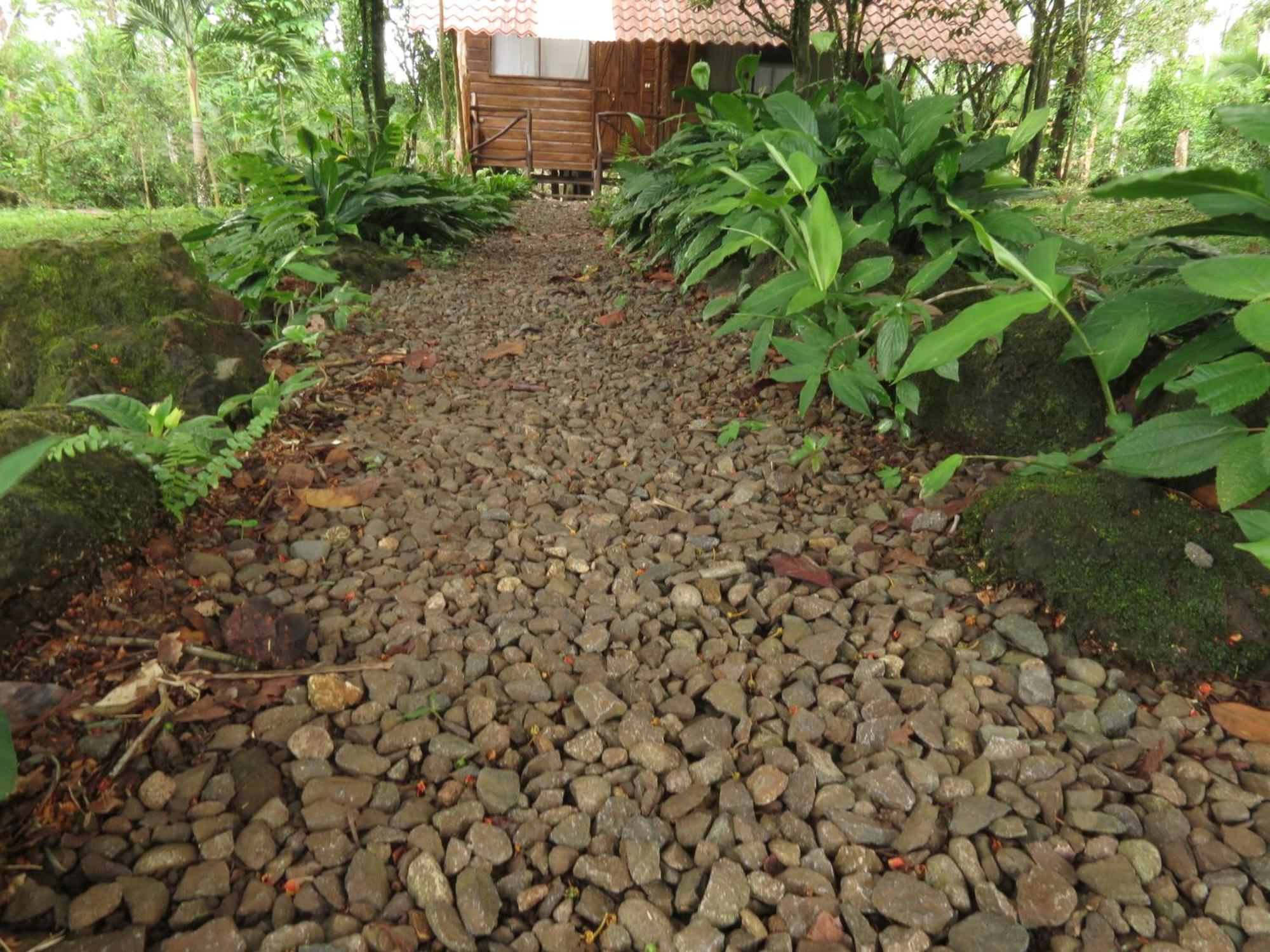 Villa Vocaré Agroecoturismo Upala Esterno foto