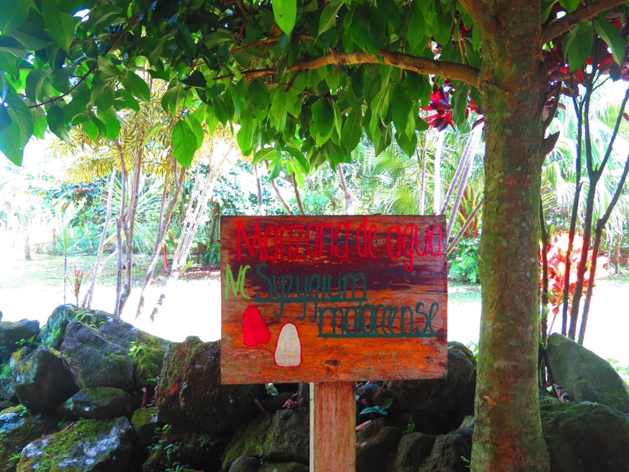 Villa Vocaré Agroecoturismo Upala Esterno foto