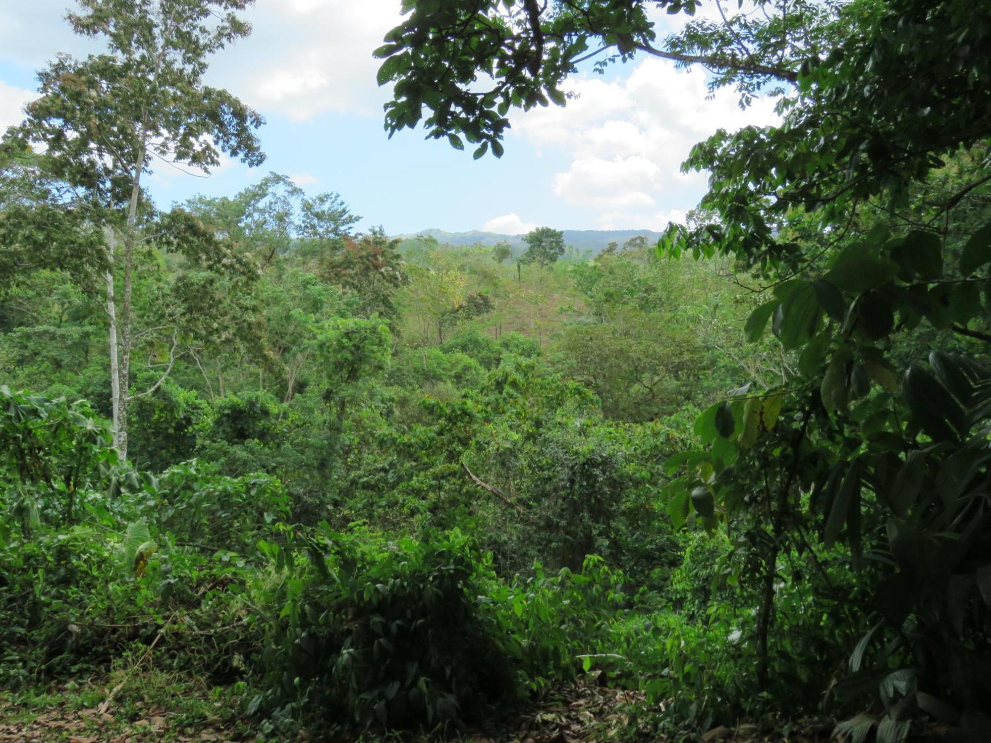 Villa Vocaré Agroecoturismo Upala Esterno foto