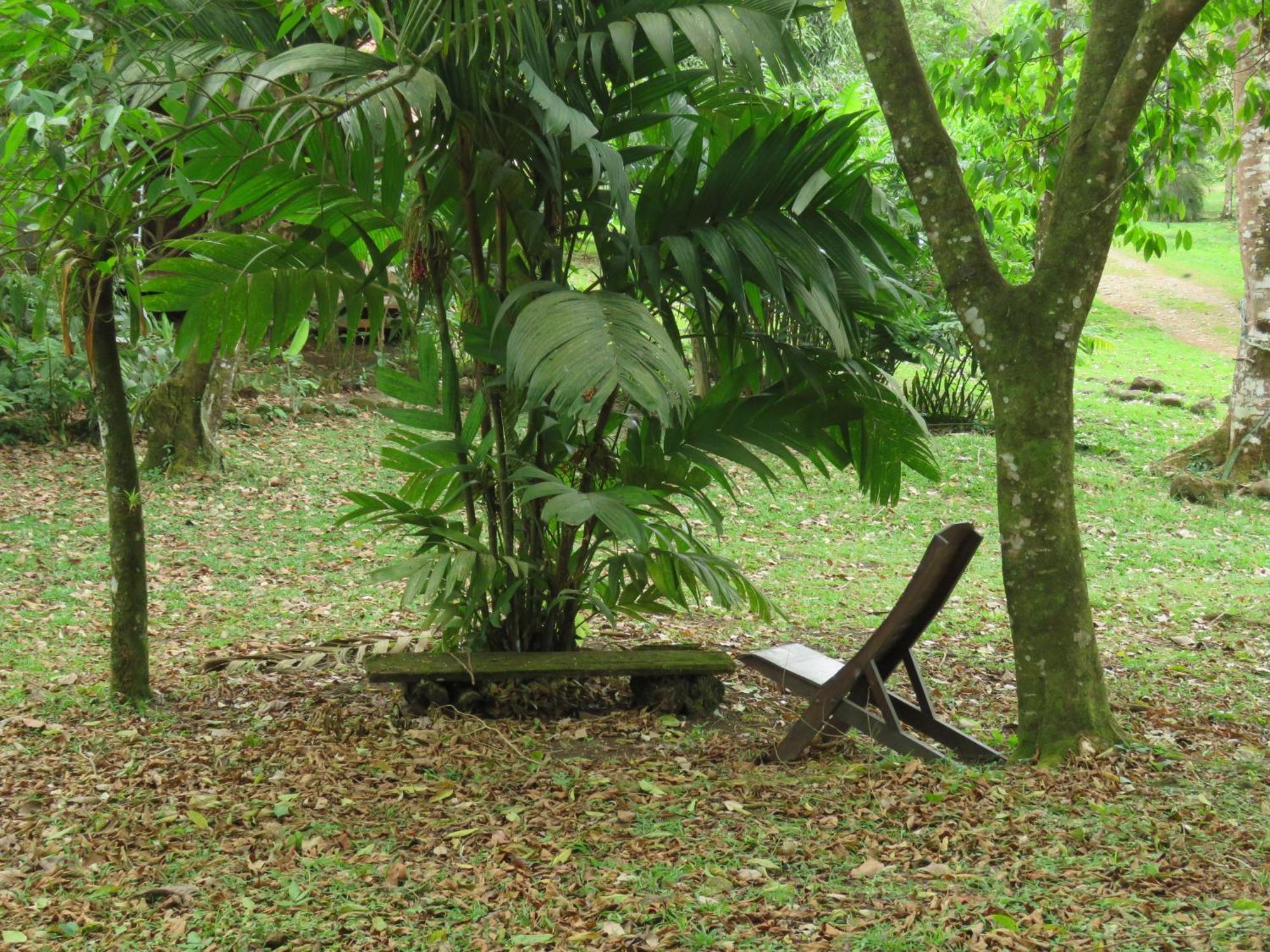 Villa Vocaré Agroecoturismo Upala Esterno foto